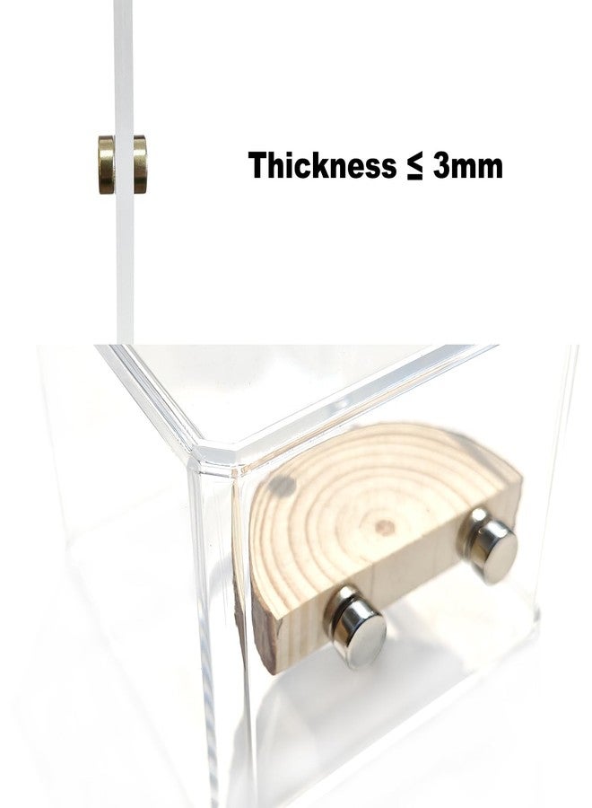 Anranmm 3 Pack Jumping Spider Enclosure Climbing Platforms, Magnetic Jumping Spider Wooden Ledge Ladder, Jumping Spider Accessories, Habitat Decor for Small Light Critters - Image 4